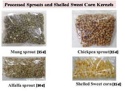 Sprouts