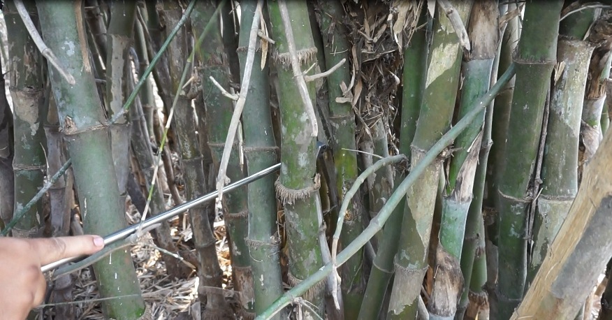 Bamboo Cutter Operation
