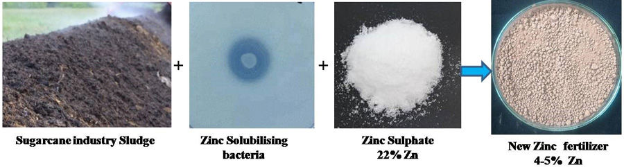 A Process for Development of Zinc (Zn) Fertilizer Formulation from Biosludge