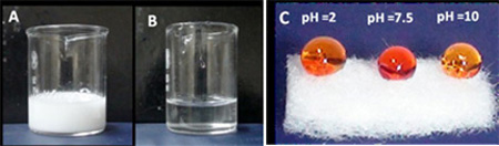 Separation of oil-water emulsion, (A) before separation (B) after separation. (C) chemical robustness test